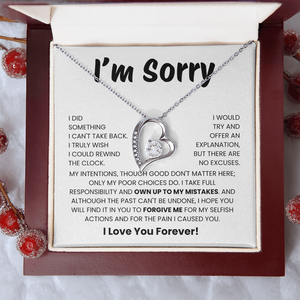 Apology Gift for Her - I Take Full Responsibility - Necklace