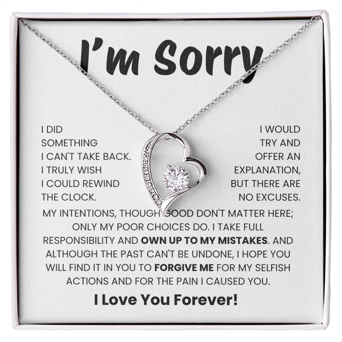 Apology Gift for Her - I Take Full Responsibility - Necklace