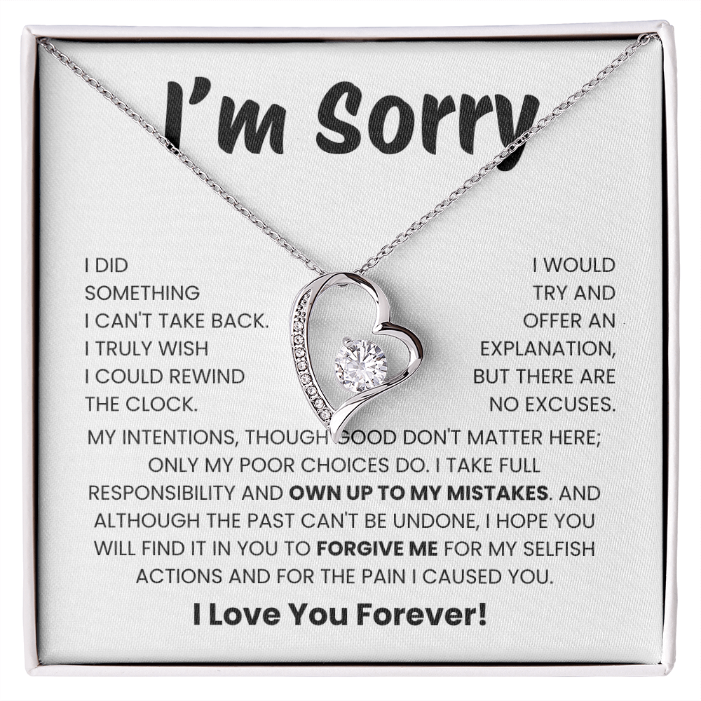 Apology Gift for Her - I Take Full Responsibility - Necklace