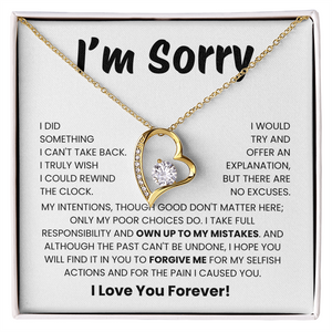 Apology Gift for Her - I Take Full Responsibility - Necklace