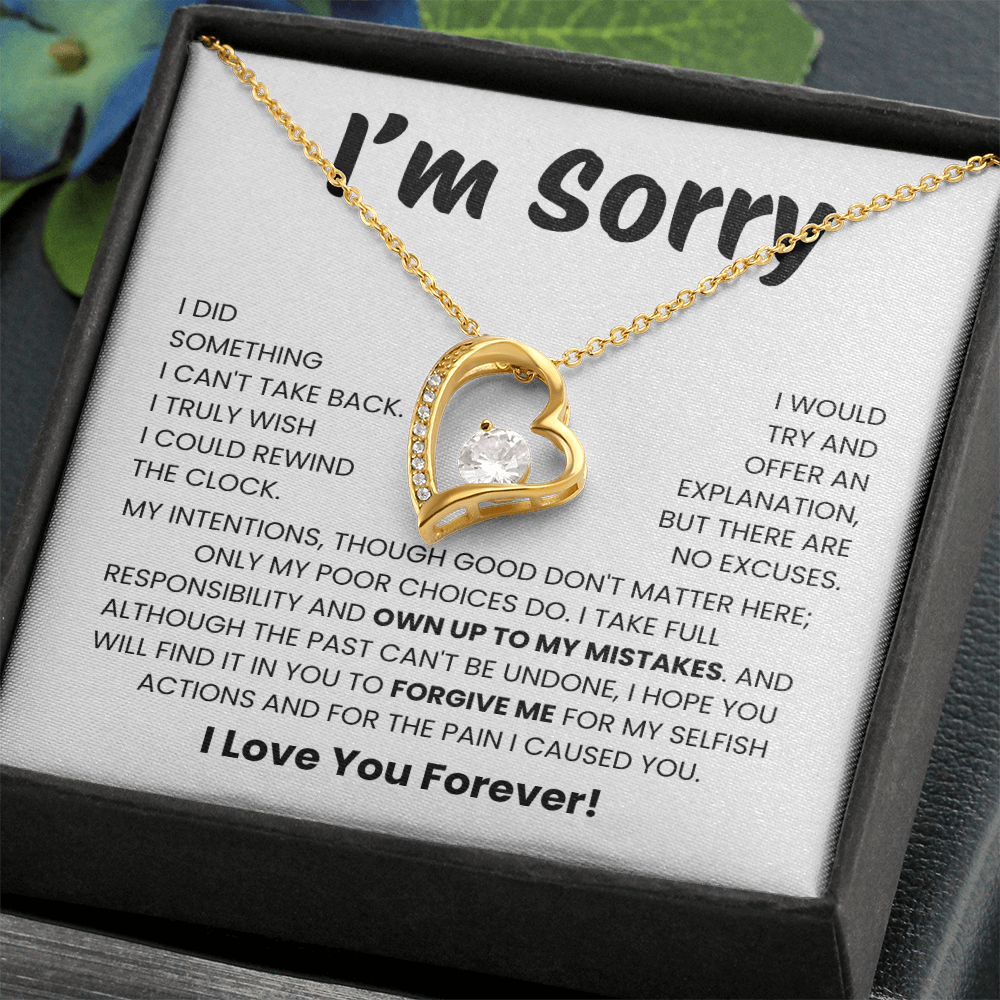 Apology Gift for Her - I Take Full Responsibility - Necklace
