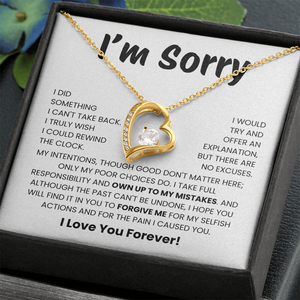Apology Gift for Her - I Take Full Responsibility - Necklace
