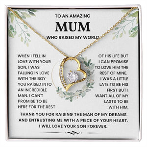 To An Amazing Mum Who Raised My World - Gift for BF Mum and MIL - Boyfriend Mum Necklace - luxoz