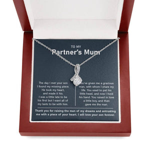 To My Partner’s Mum-Alluring Necklace-Silver – luxoz