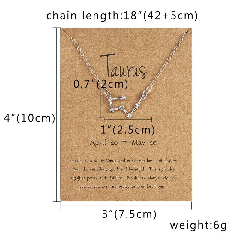 Silver Horoscope Astrology Zodiac Birth Sign Chain Necklace - luxoz